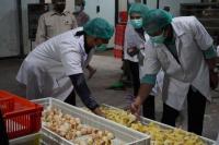 Sinergi Vokasi dan Industri Perkuat Ketahanan Pangan Nasional