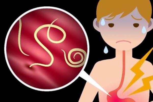 Ini Daftar Makanan yang Bisa Membawa Cacing Kremi ke Tubuh