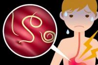 Ini Daftar Makanan yang Bisa Membawa Cacing Kremi ke Tubuh