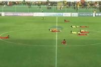 Kocak, Pertandingan Ini Dihentikan gegara Serangan Lebah