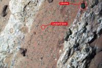 NASA Temukan Tanda-tanda Potensial Kehidupan dalam Batuan di Mars