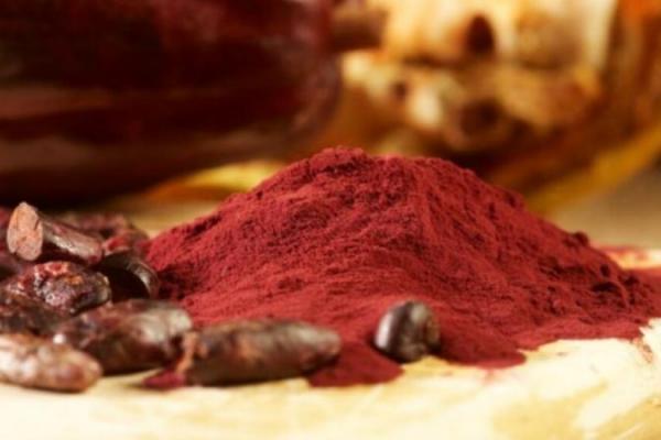 Studi Ungkap Ekstrak Kakao Bisa Perpanjang Umur