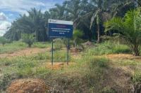 Praktisi Hukum Kritisi Kasus PT Timah vs Warga di Belitung