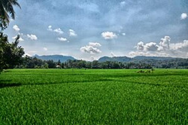 Prabowo, Pasal 33, dan Reforma Agraria