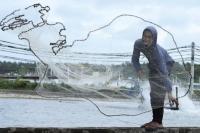 Mengandung Radioaktif, FDA AS Beri Syarat Baru Udang dan Rempah Indonesia