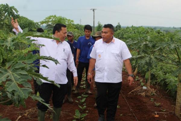 Ditjenpas Tinjau Langsung Ketahanan Pangan di Lapas Warungkiara