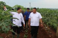 Ditjenpas Tinjau Langsung Ketahanan Pangan di Lapas Warungkiara