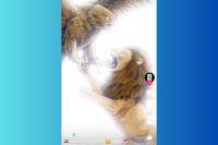 Mengapa Timnas Irak Dijuluki Singa Mesopotamia dan Indonesia Garuda?