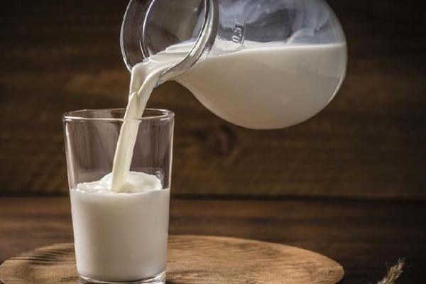 Segudang Manfaat Susu Kambing untuk Tubuh