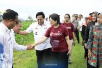 Wamendiktisaintek Cek Dua Calon Lokasi Sekolah Garuda Baru di Lampung