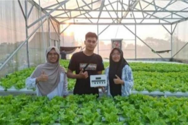 Siswi MAN IC Pekalongan Ciptakan Alat Pemantau Hidroponik Otomatis