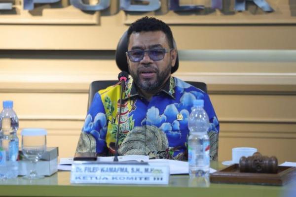 Pemerintah Dinilai Belum Miliki Konsep Selesaikan Masalah Papua