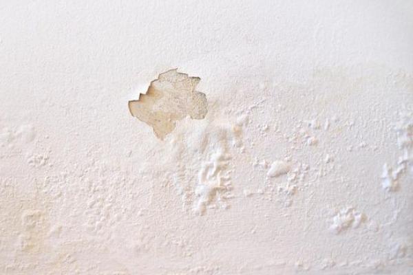 Cara Ampuh Perbaiki Dinding Lembap di Musim Hujan