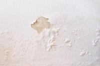 Tembok Rumah Lembap di Musim Hujan? Begini Cara Mencegahnya