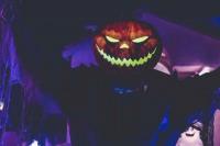 Kenapa Halloween Identik dengan Labu dan Hantu?