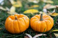 Manfaat Labu Kuning Bagi Tubuh, Jaga BB hingga Kesehatan Kulit