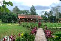 Dijamin Adem, Ini 5 Tempat Ngopi untuk WFA di Puncak