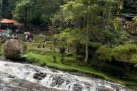 Menikmati Udara Segar dan Tenangnya Alam di Tahura Bandung