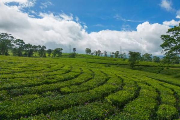 Sembilan Wisata Menarik di Kota Subang