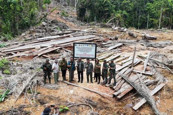 Viral Kayu Terseret Banjir Sumatra, Kemenhut Telusuri Sumber-Legalitasnya