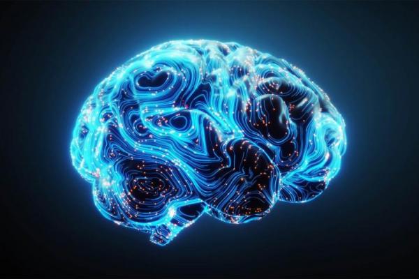 Studi: Sejak Lahir, Otak Manusia Mungkin "Disetting" untuk Memahami Dunia