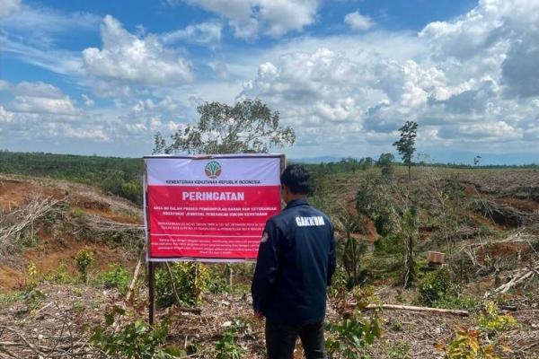 Kemenhut Endus Adanya Pembalakan Liar Perparah Bencana Sumatra