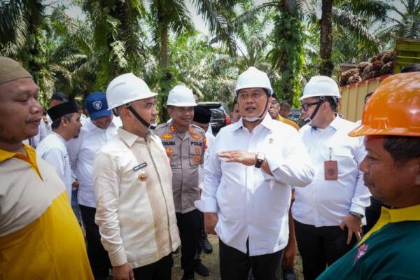 Wamentrans Puji Transmigran Sukses Kelola Sawit, Bakal Replanting 10.000 Ha