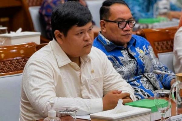 Pemerintah Harus Tingkatkan Kesiapsiagaan Hadapi Bencana Nasional