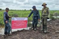 98,8 Hektare Sawit Ilegal di TNBS Dimusnahkan, Gakkum Buru Pemodal