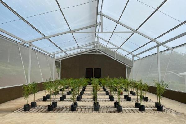 Canggihnya Smart Greenhouse UG Techno Park, Bertani Dibantu AI