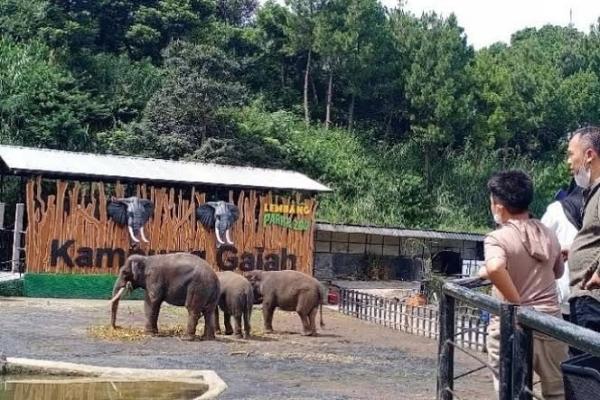 5 Tempat Wisata Ramah Anak di Bandung, Cocok untuk Liburan Akhir Tahun