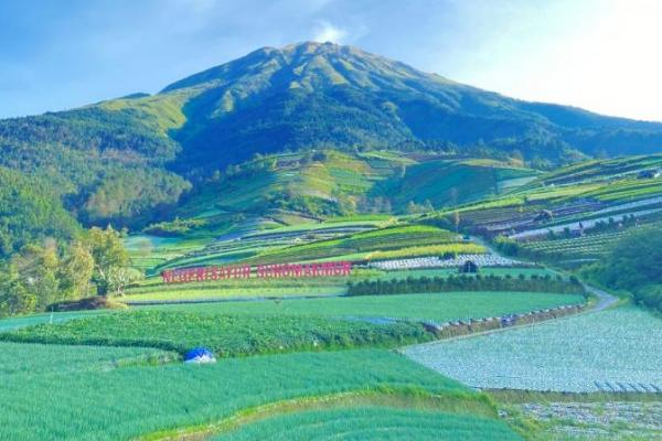Ini Alasan Warna Kuning Dilarang saat Mendaki Gunung Sumbing