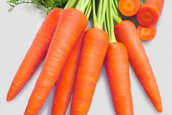 Limbah Wortel Bisa Disulap Jadi Sumber Protein Masa Depan Ramah Lingkungan