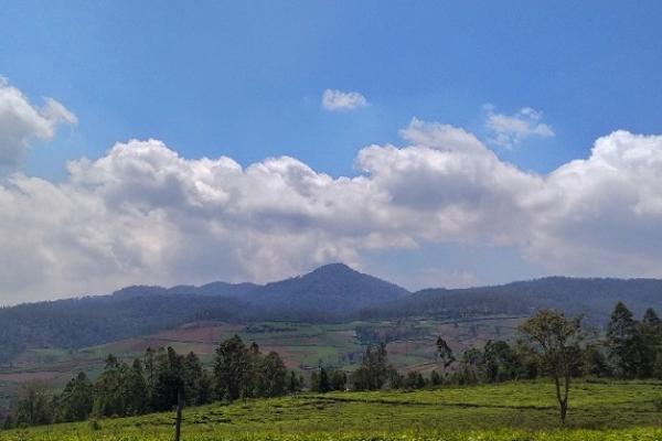 4 Gunung Tertinggi di Kabupaten Bandung Incaran Pendaki dan Wisatawan