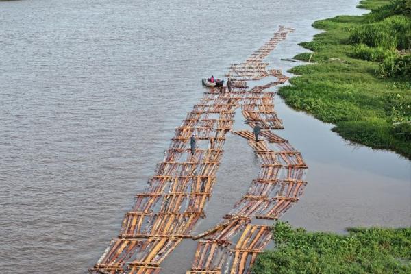 Ratusan Kayu Ilegal Mengular di Sungai Ketapang, Kemenhut Turun Tangan