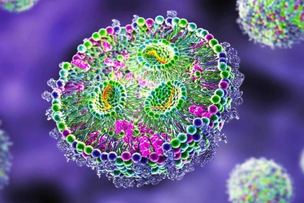 Ilmuwan Temukan "Makhluk Hidup" Baru di Dalam Tubuh Manusia