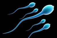 Studi: RNA pada Sperma Ayah Pengaruhi Kesehatan Anak