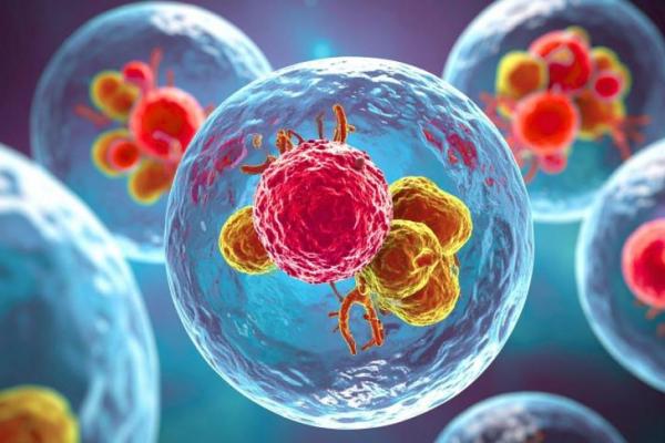 Ilmuwan China Temukan Terapi Paksa Tumor Mati dan Aktifkan Imun