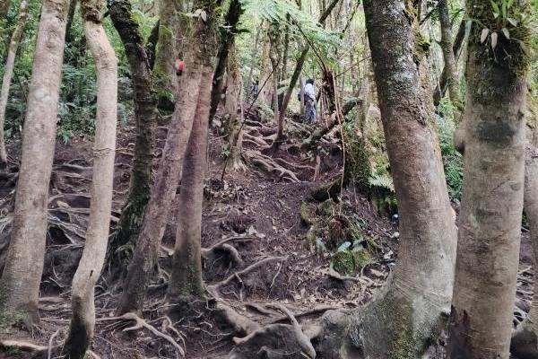 Benarkah di Gunung Gede Ada Sinyal?