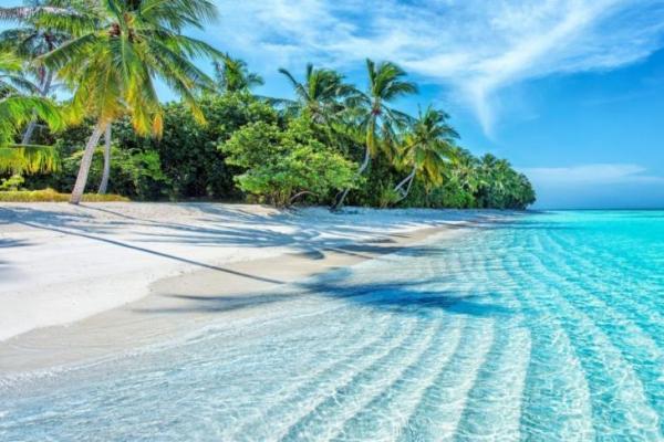 Studi: Samudra di Kawasan Tropis Pernah Jadi Pusat Oksigen Bumi