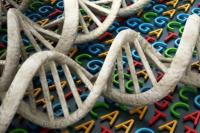 Pemanasan Global Percepat Penuaan Manusia hingga Tingkat Sel