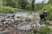 Ilmuwan Khawatir Hutan Mangrove Jadi "Rumah" bagi Sampah Plastik
