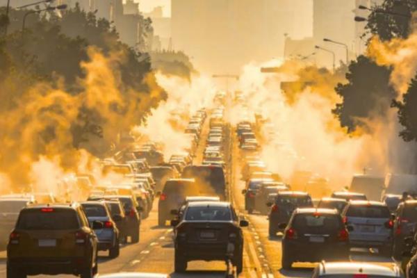 Waspada! Sering Hirup Udara Berpolusi Picu Kerusakan Usus dan Jantung