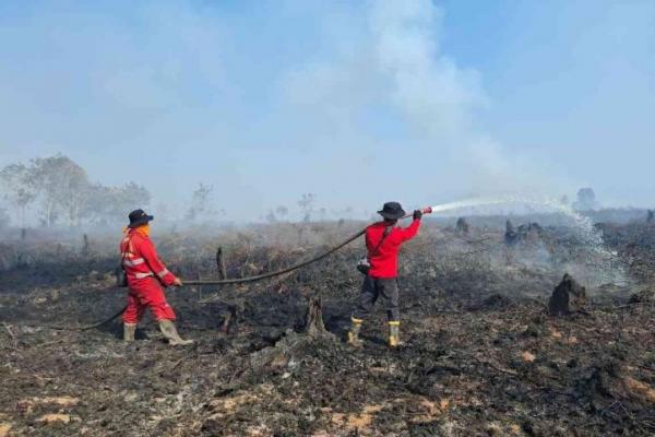 Kemenhut Turunkan Manggala Agni Padamkan Karhutla di Sumatra