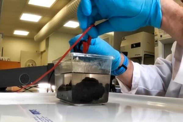 Ilmuwan Kaget Temukan Oksigen di Lautan Dalam Samudra Pasifik