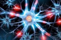 Pangkas Asupan Gula Bantu Sel Otak Pulih usai Cedera