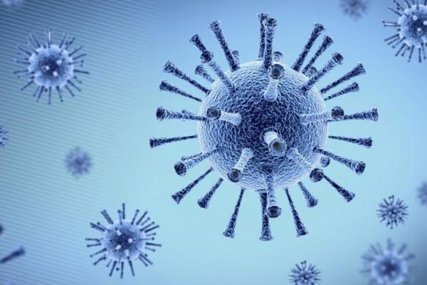 Waspada! Dua Virus Ini Berpotensi Jadi Wabah Global Selanjutnya
