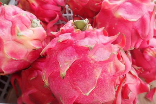 5 Manfaat Buah Naga untuk Kesehatan Jantung