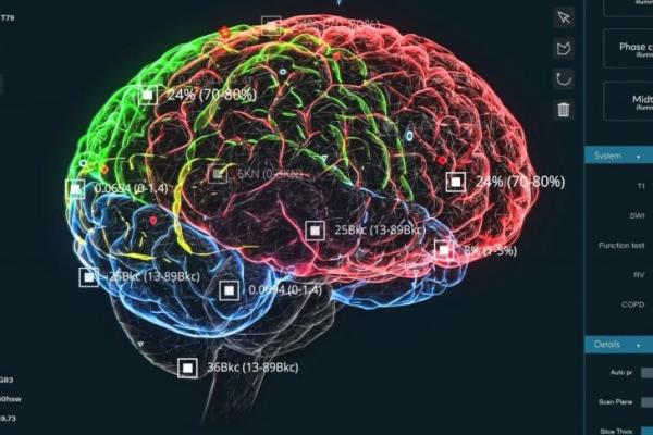 Studi: Lemak Tersembunyi Terkait dengan Penuaan Otak Lebih Cepat
