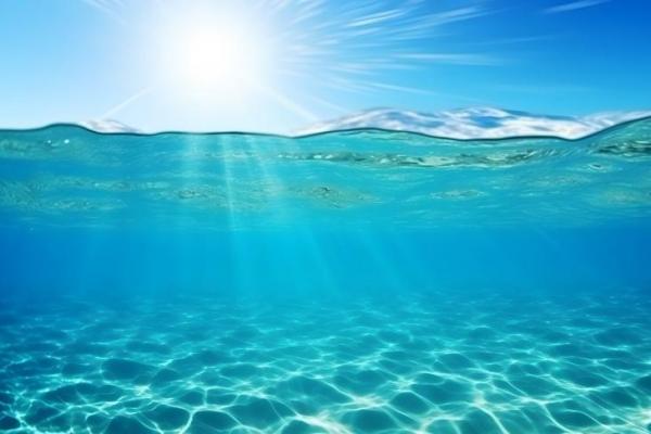 Pencemaran Ancam Keberlangsungan Mikroorganisme Terpenting di Laut